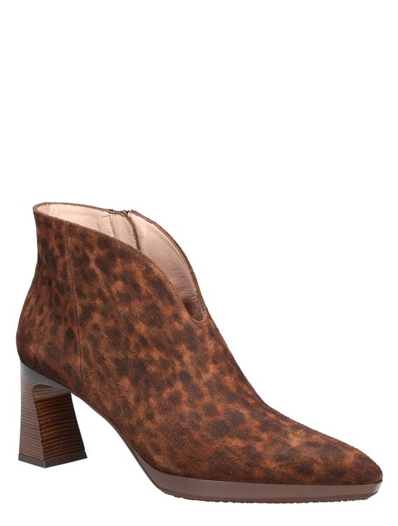 Hispanitas HI254270 Leopard Leopard I25 Avellana