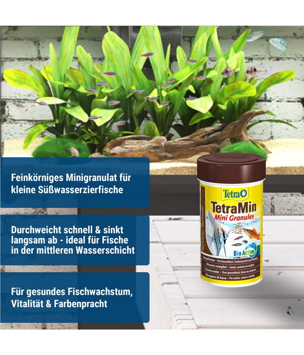 Tetra Fischfutter TetraMin Mini Granules, 100