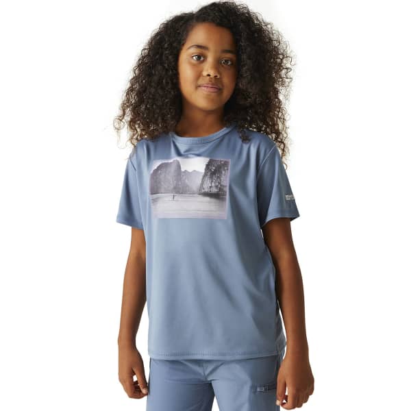 T-shirt randonnée REGATTA ALVARADO VIII CORONET BLUE