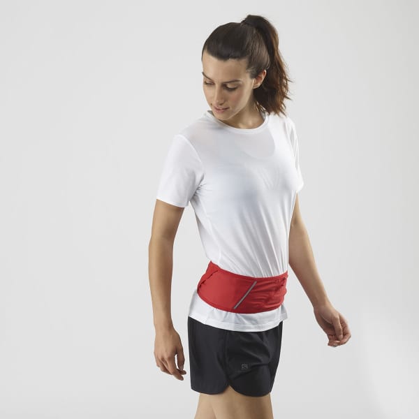 Ceinture porte gourde SALOMON PULSE BELT GOJI BERRY