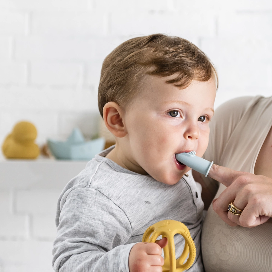 Nattou Set mit 2 Babyzahnbürsten blau