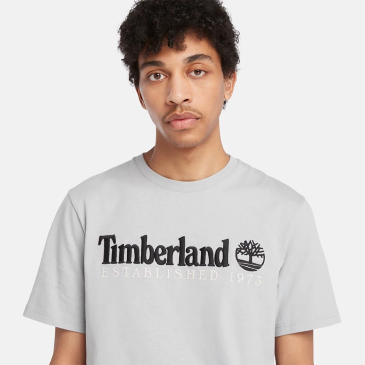 Camiseta masculina cinza da equipe Est. 1973
