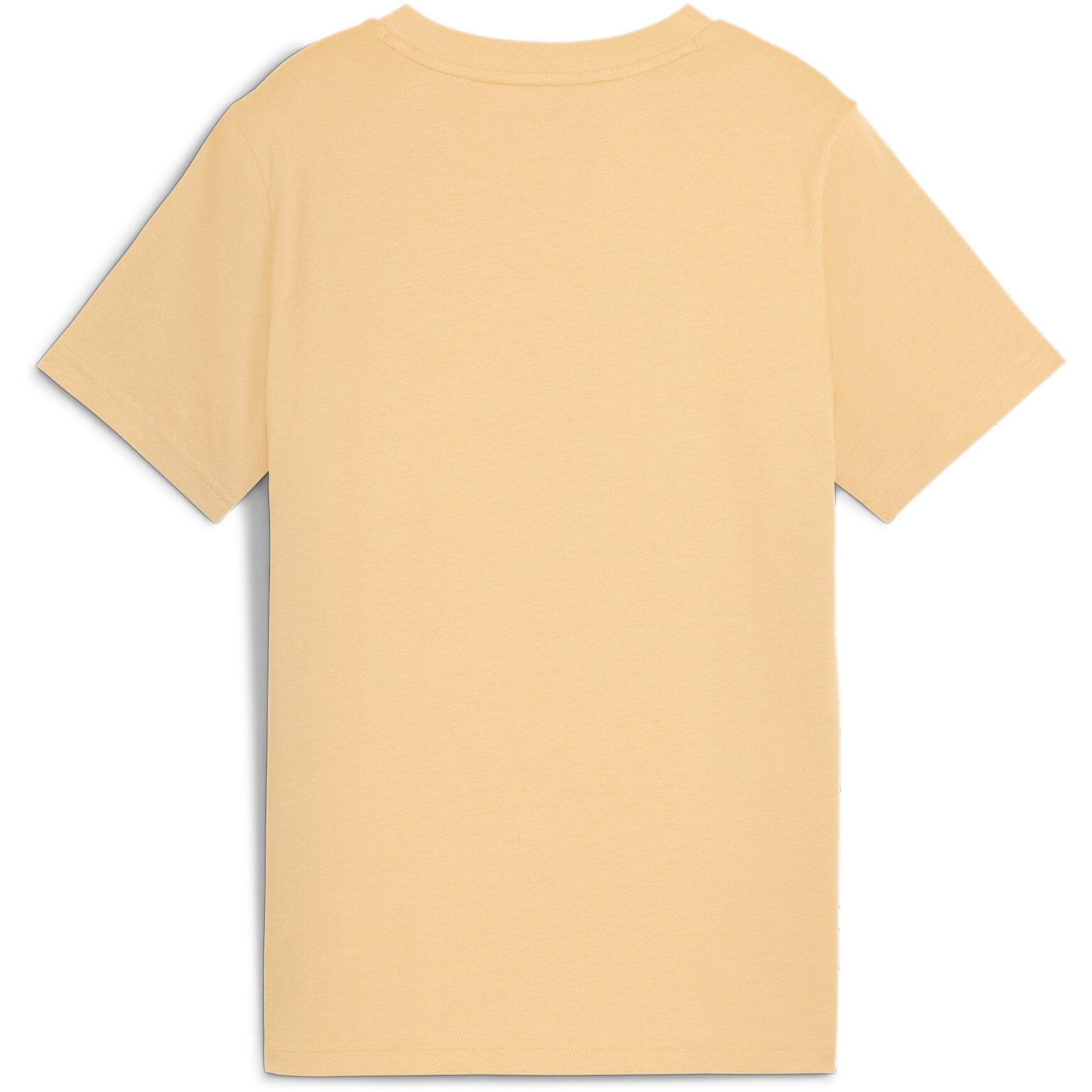 Puma Graph T Shirt Jn00