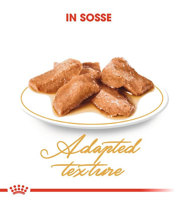 ROYAL CANIN® Nassfutter für Katzen Maine