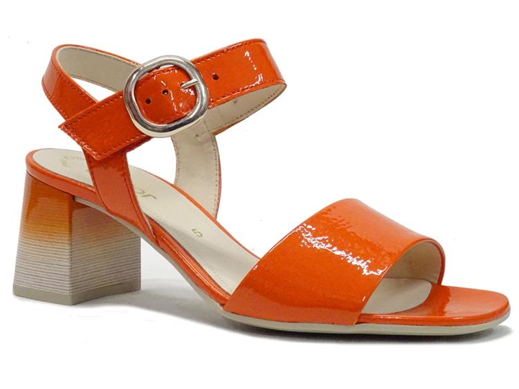 Gabor 41.700 pumpkin (degrade)
