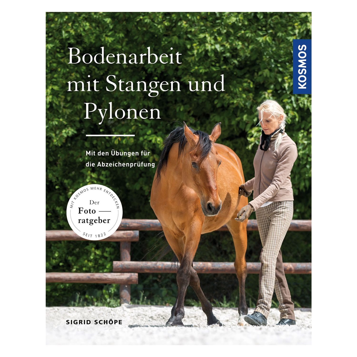 Bodenarbeit mit Stangen und Pylonen