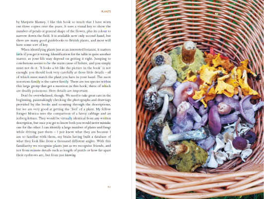 The Forager's Calendar: A Seasonal Guide to Nature's Wild Harvests (Paperback)