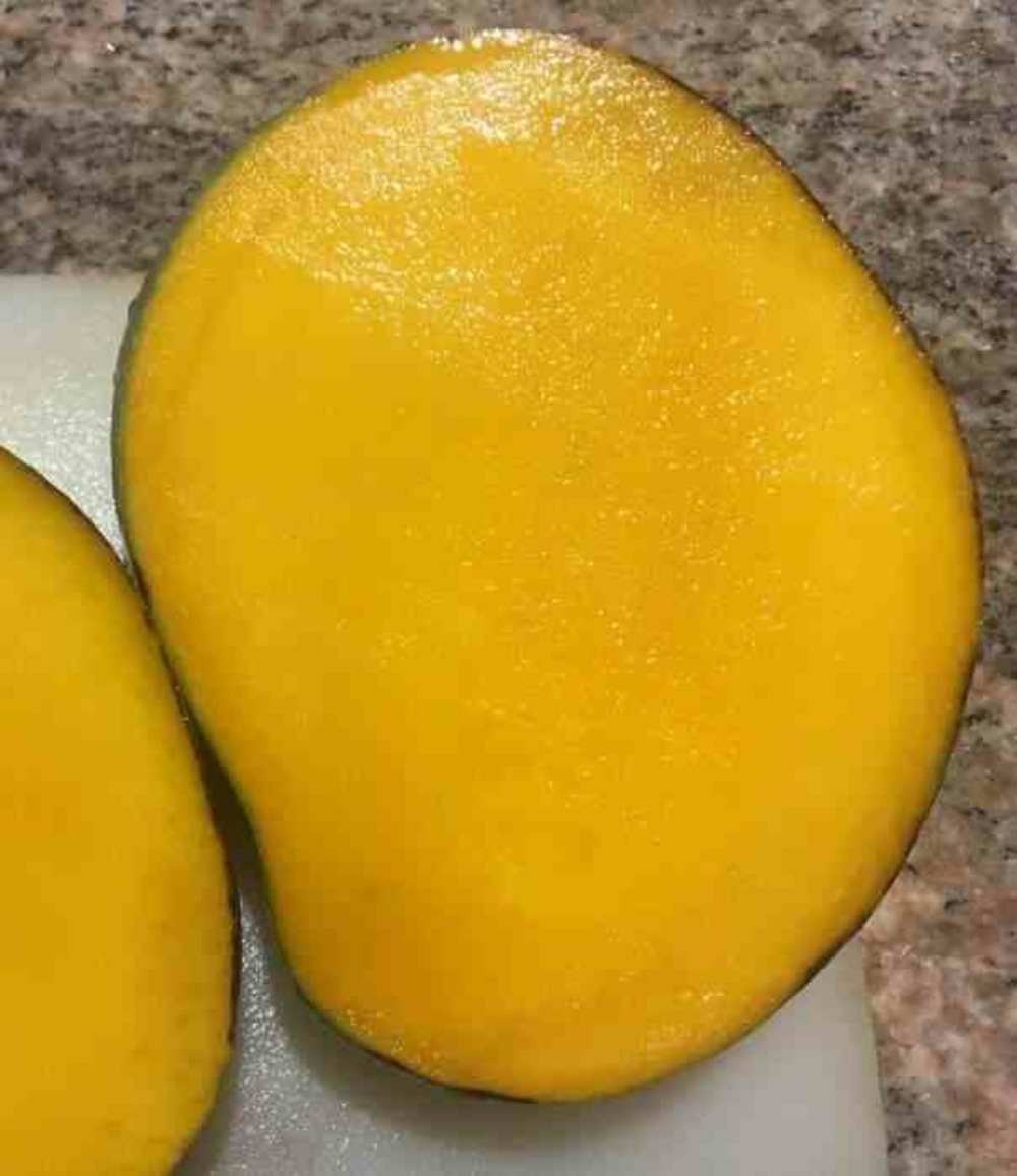 Manguier mangifera indica var.keitt taille pot de 7 litres ? 80/100 cm - jaune
