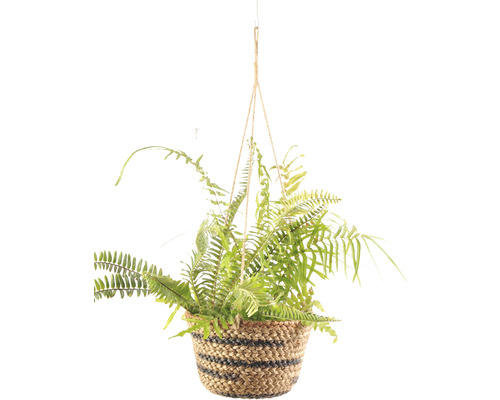 Hangende zeegrasmand Lafiora Ø 23 cm H 15/65 cm bruin