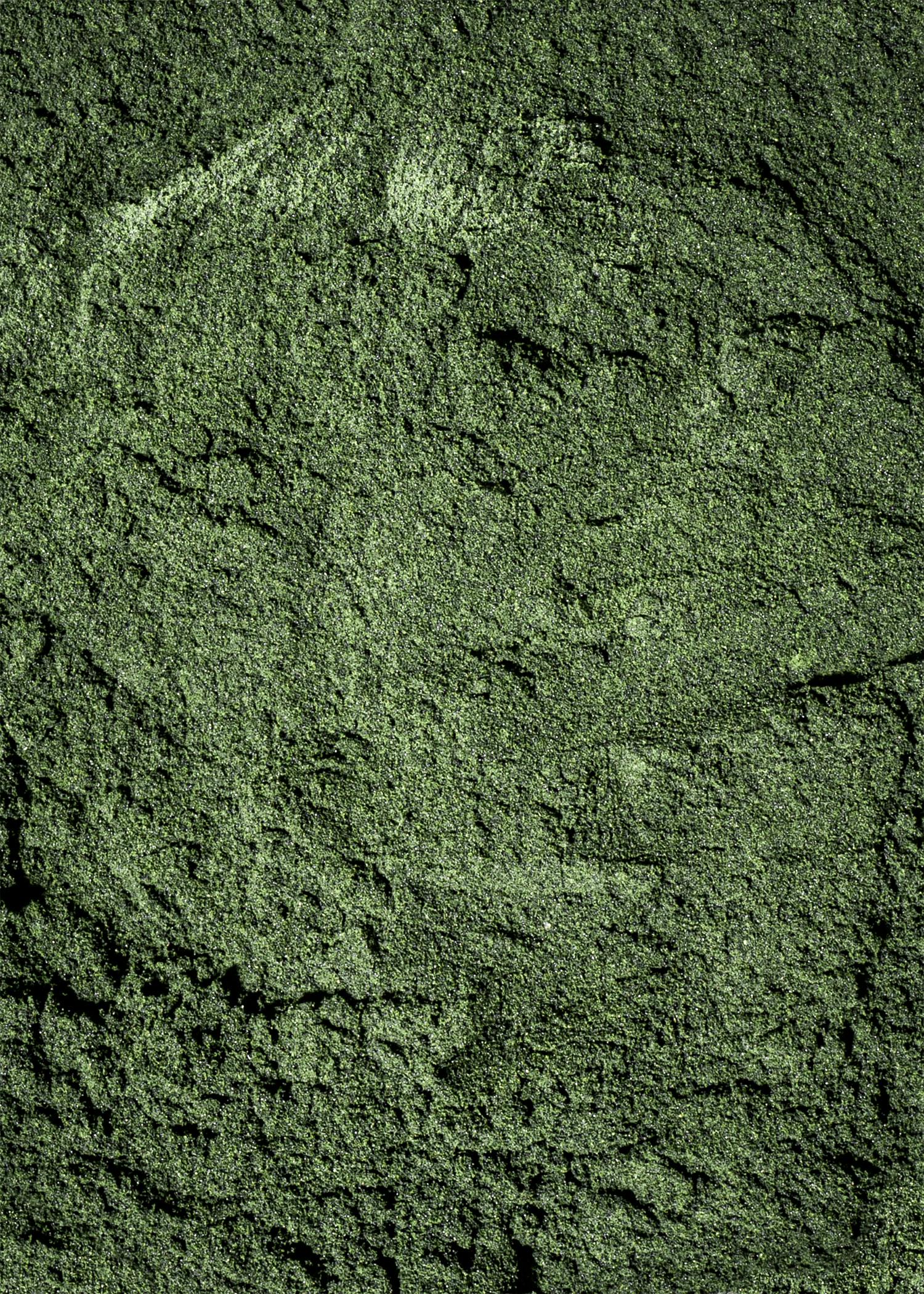 Bio Spirulina Pulver 500 g