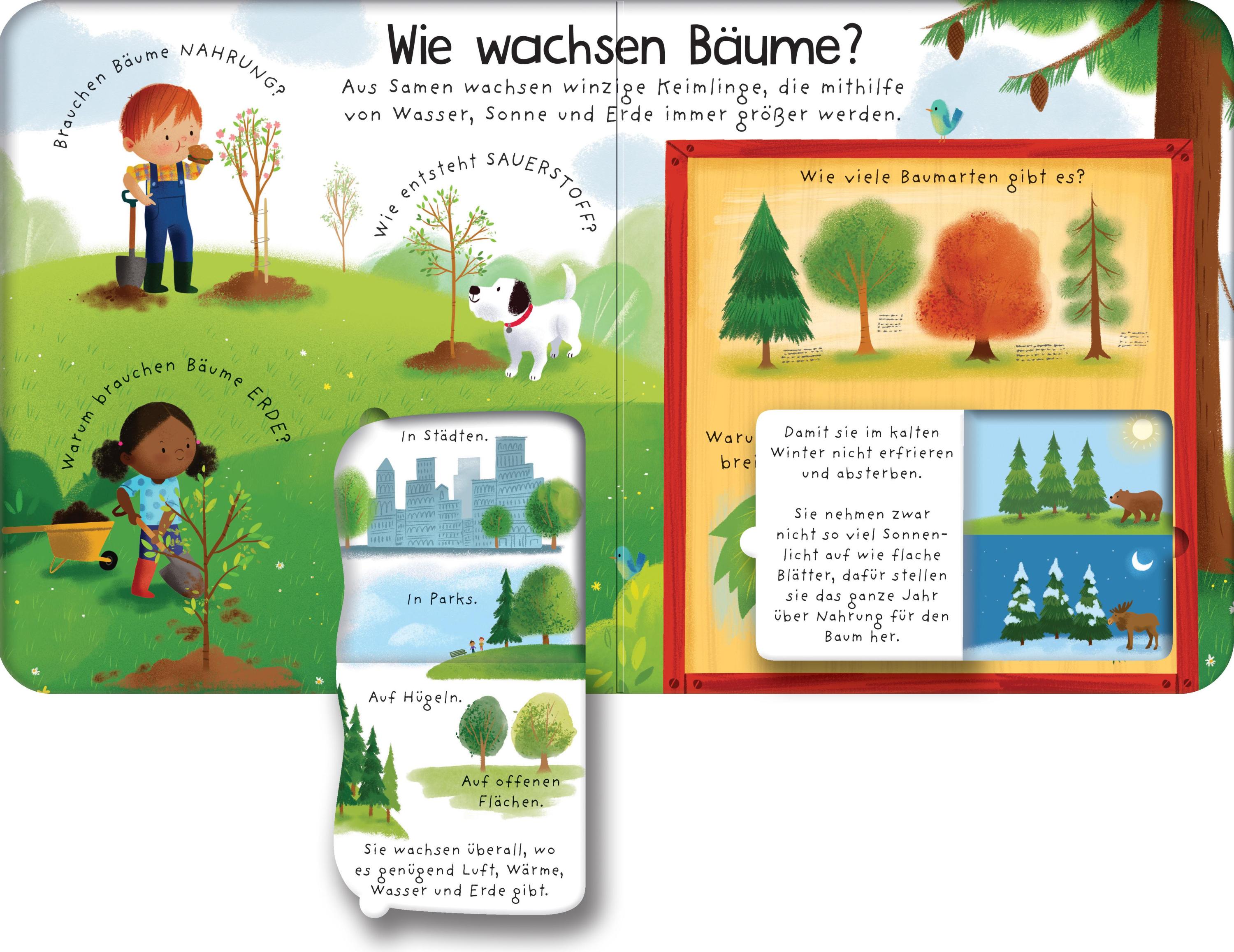 Erstes-Aufklappen-und-Verstehen-Reihe / Erstes Aufklappen und Verstehen: Warum brauchen wir Bäume?
