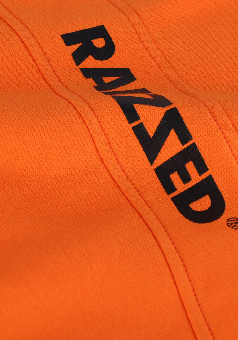 RAIZZED oranje raizzed trui macon