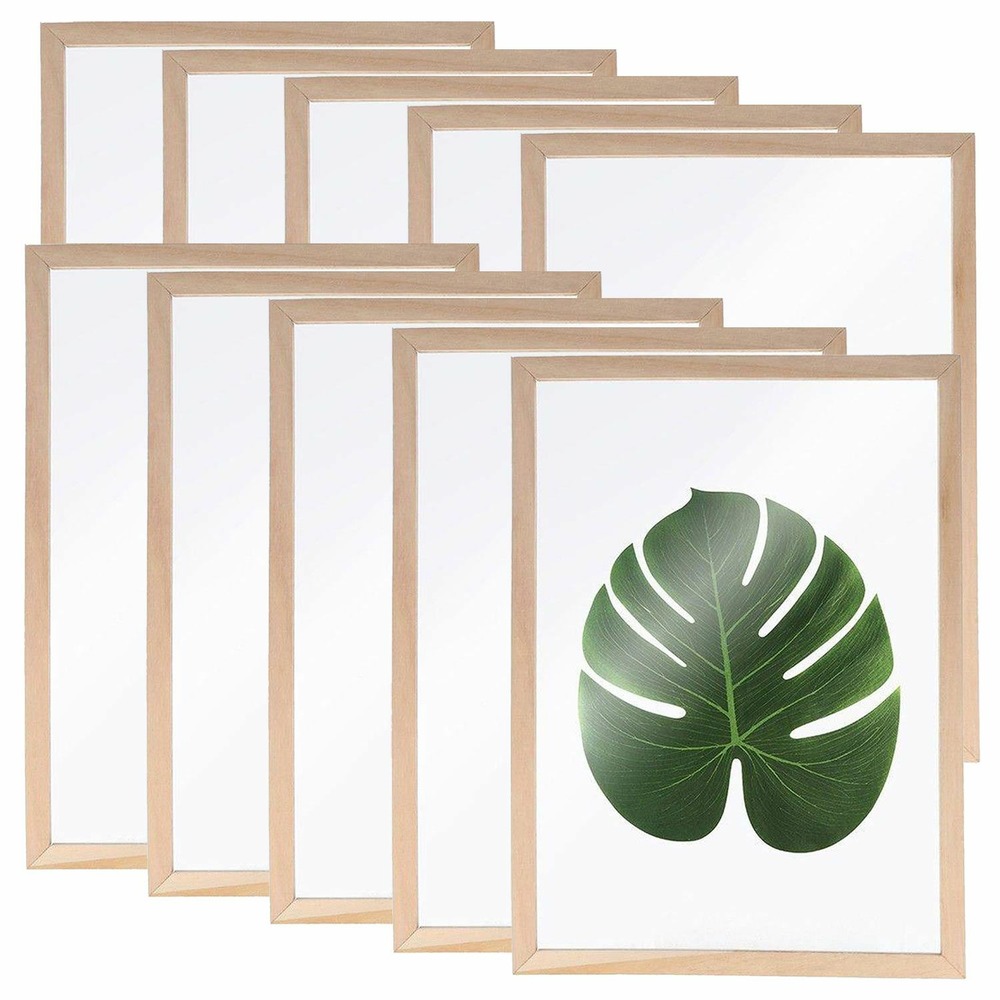 10 cadres en bois pour herbier a4
