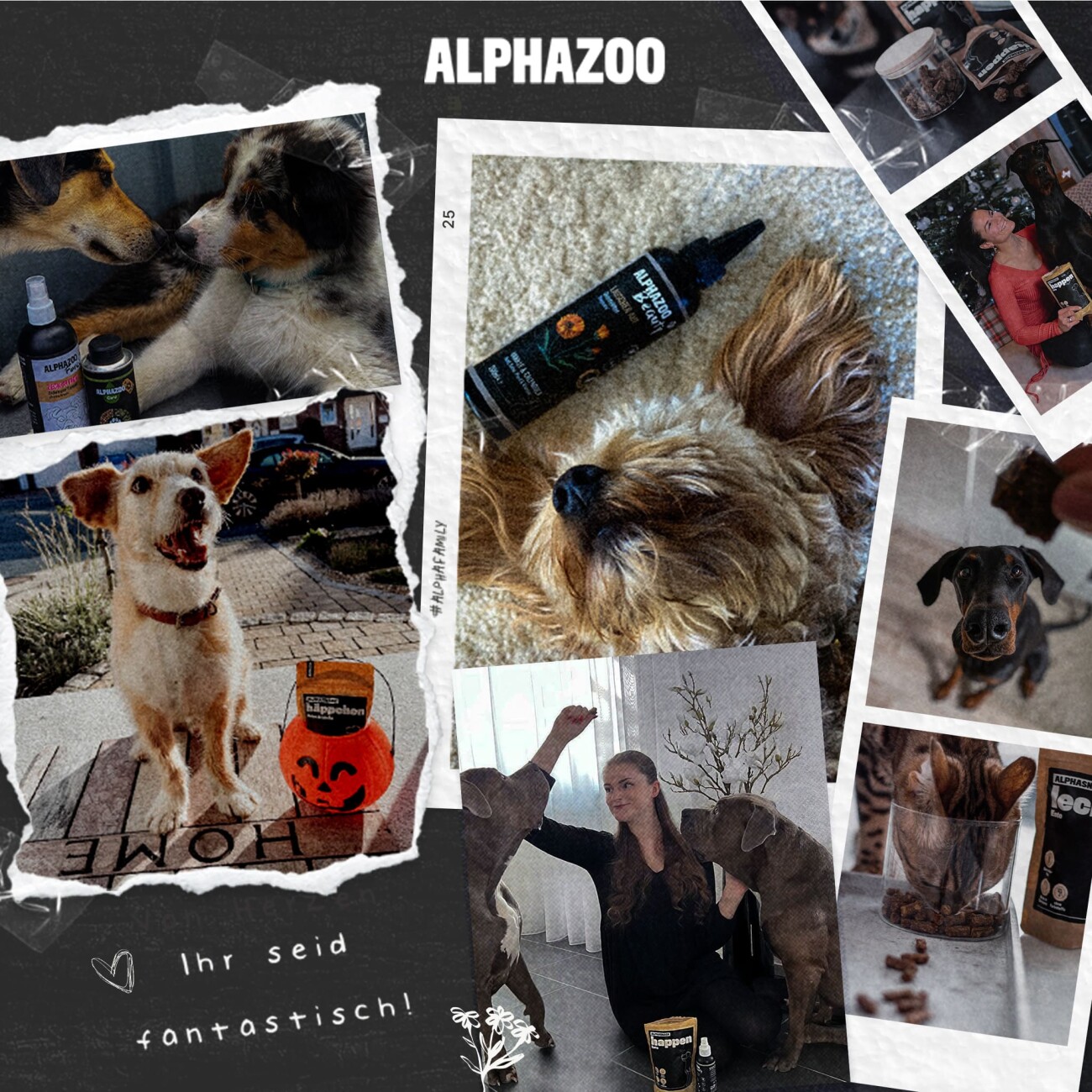 ALPHAZOO Premium Nachtkerzenöl für Hunde 250 ml