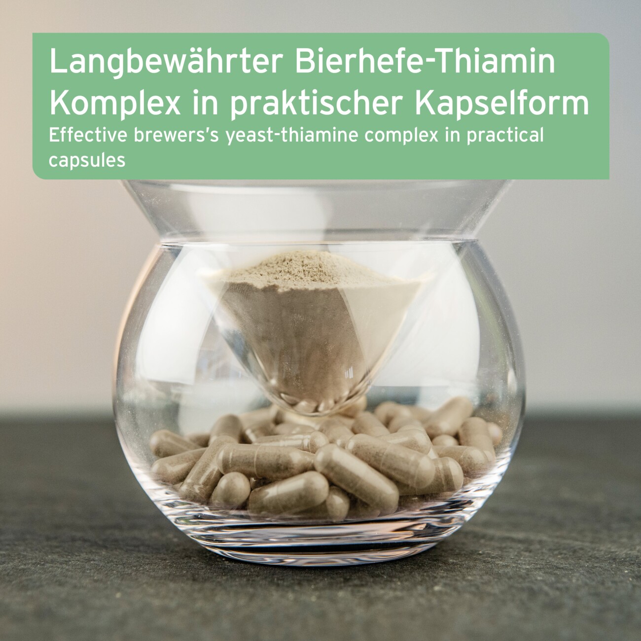 AniForte Zecken Schild (bis 10kg) für kleine Hunde 60 Kapseln