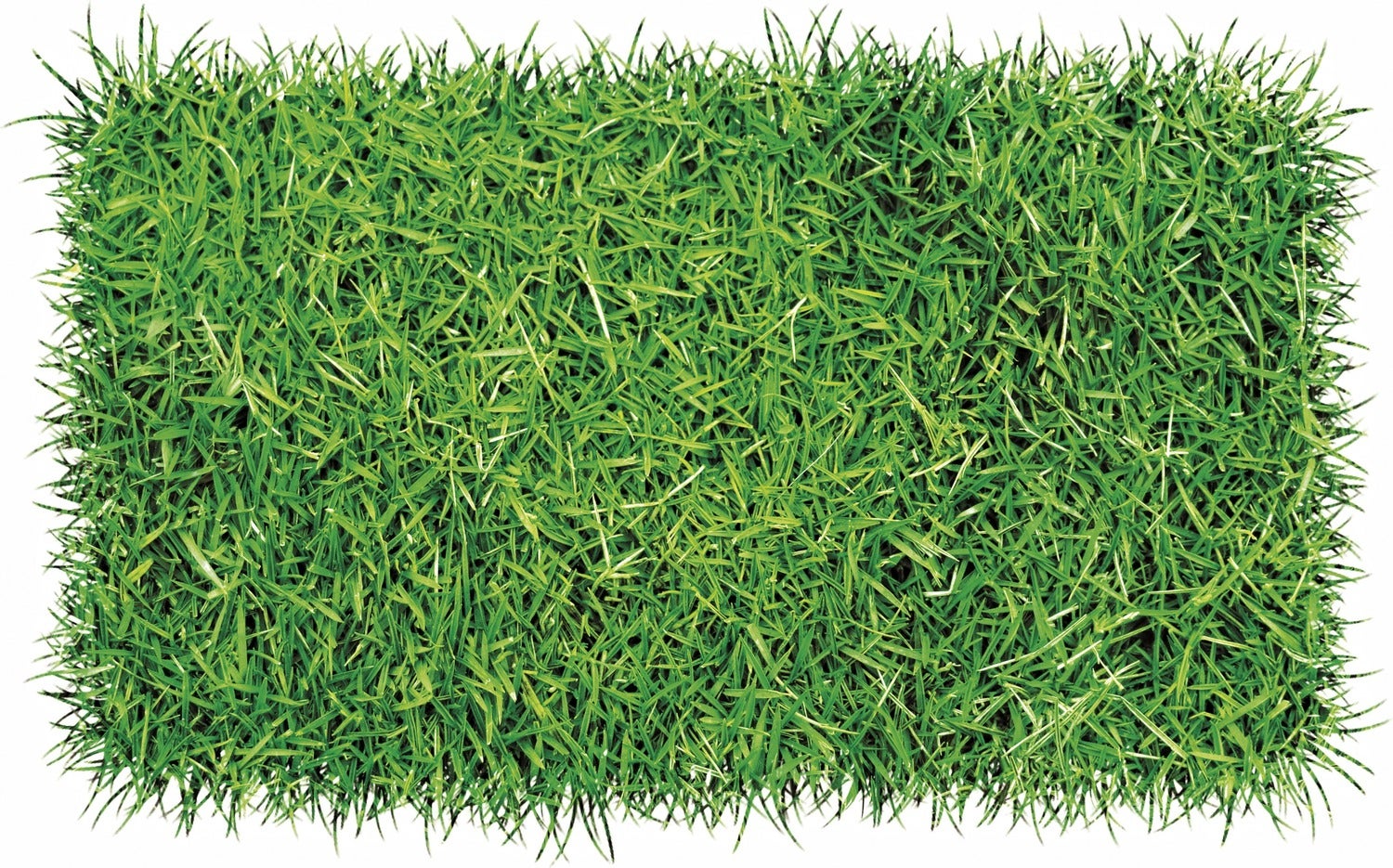 Graszoden Premium 1 m2