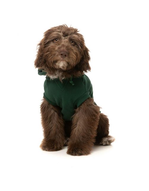 Fuzzyard Treats Hoodie Donkergroen - Hondenkleding