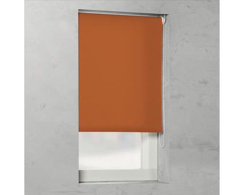 Soluna daglichtrolgordijn T6, uni terra, 60x190 cm