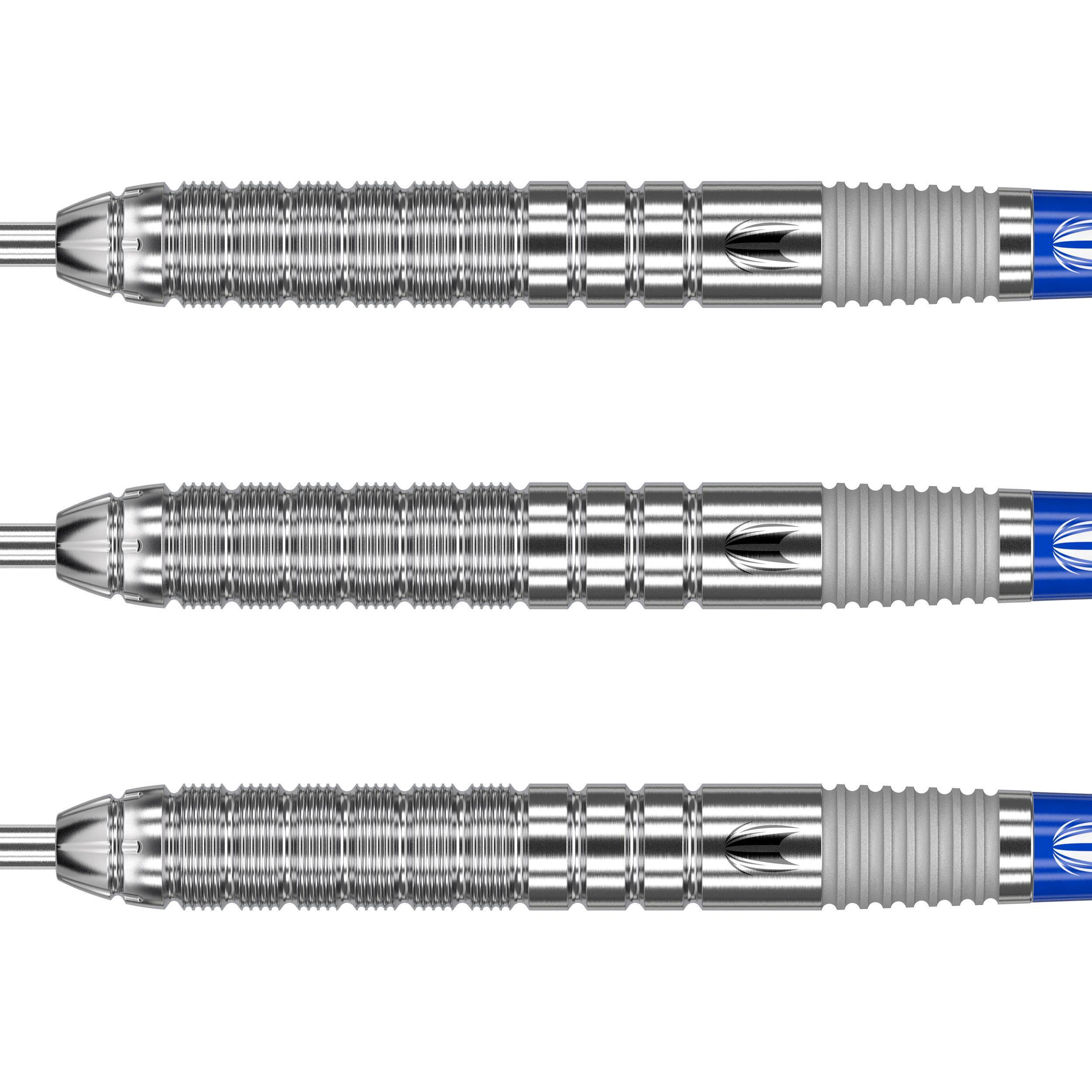 Target - Lewy Williams - Steeldart