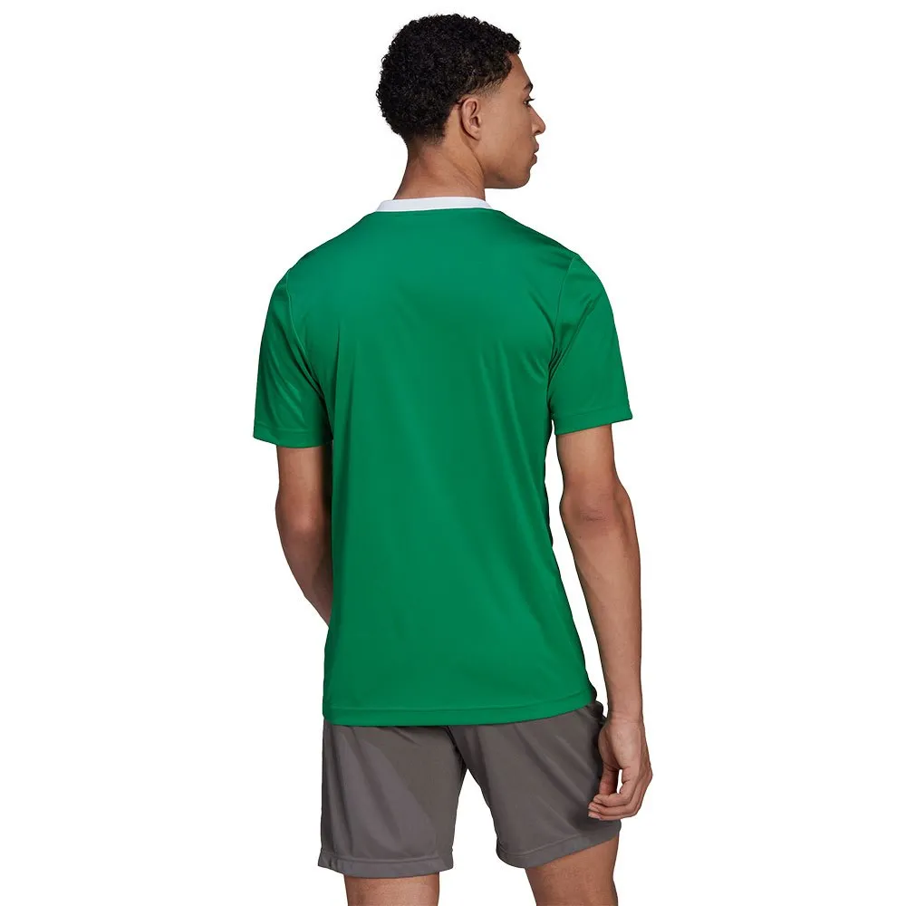 Camiseta de manga curta adidas Entrada 22