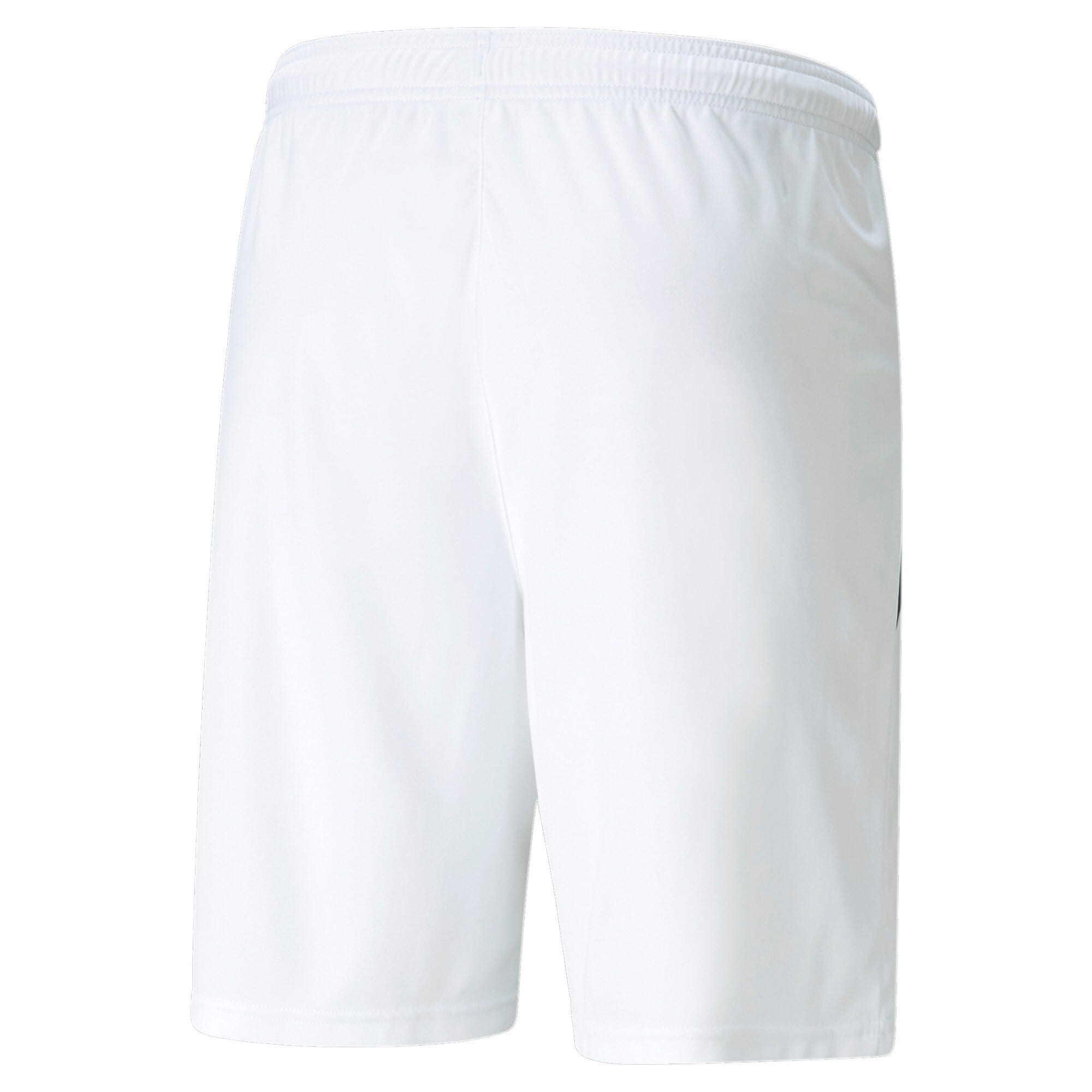PUMA  Teamliga Shorts