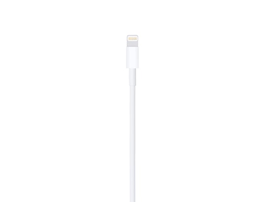 APPLE - Câble USB Lightning to USB