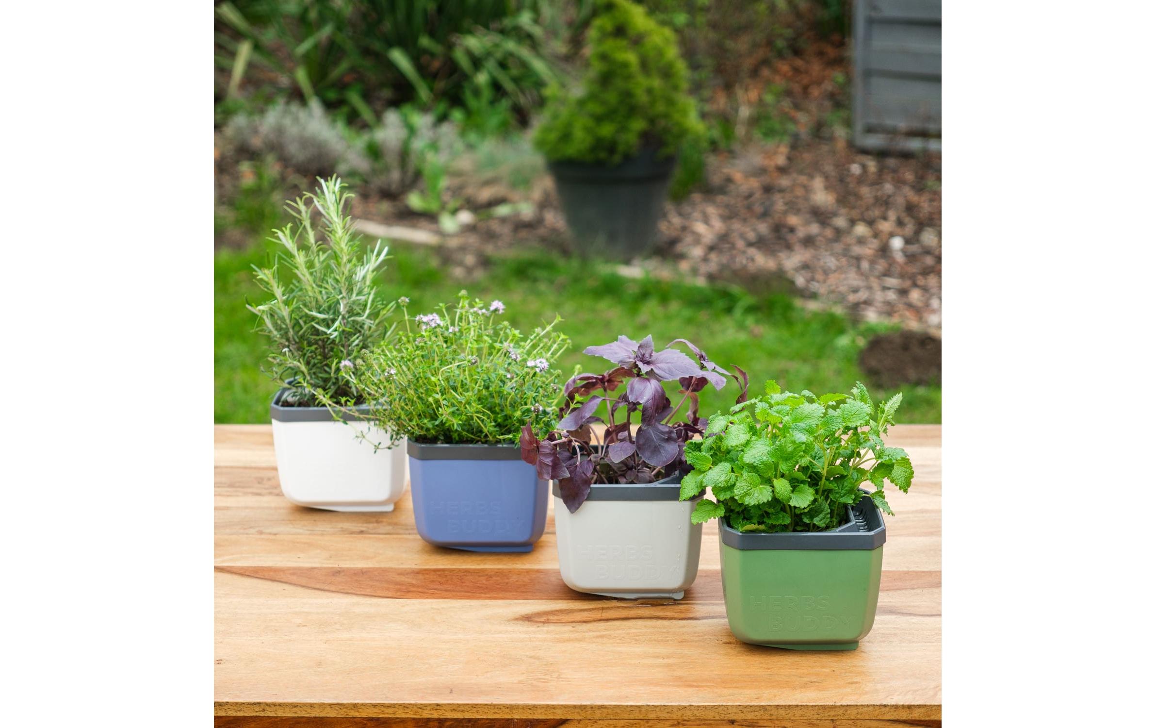 HERBS BUDDY Kräutertopf Grau/HellgrauKräutertopf mit Wasserreservoir und Kippfunktion