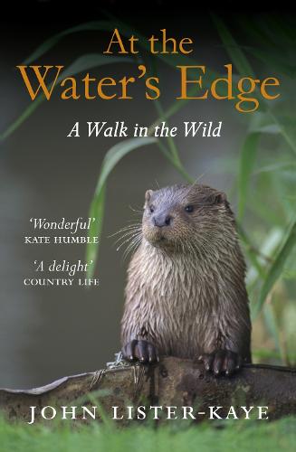 At the Water's Edge: A Walk in the Wild (Paperback)
