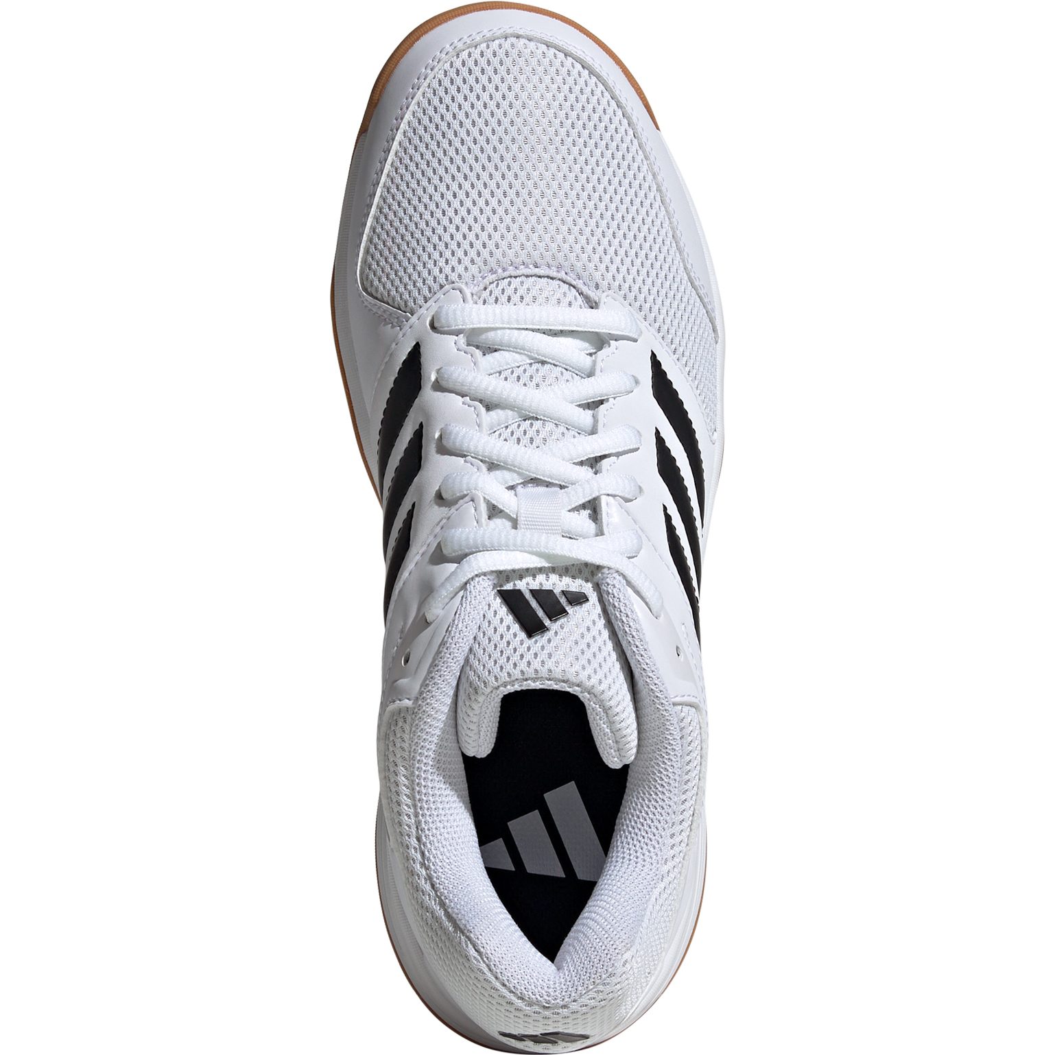 adidas Speedcourt IN Hallenschuhe Damen footwear white