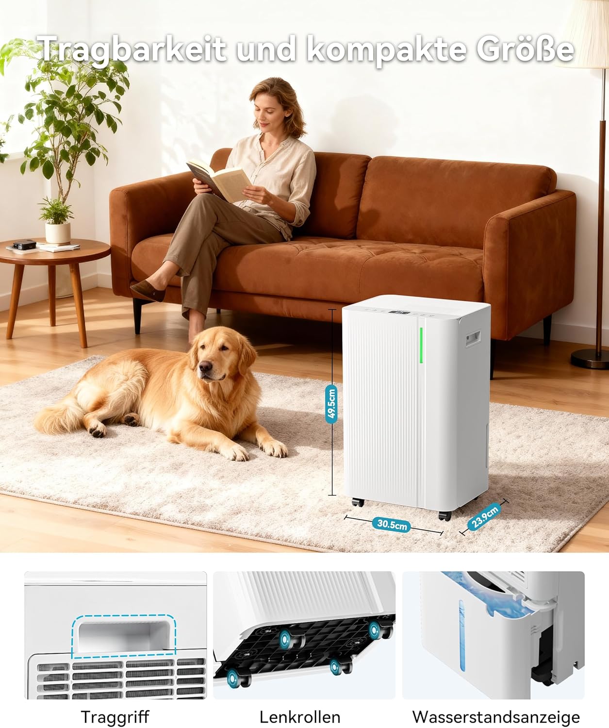 EUHOMY Luftentfeuchter 20L/Tag, Elektrischer Luftentfeuchter Keller mit Ablaufschlauch, Stromsparende & Leise Entfeuchter mit Automatisches Abtauen,Timer, Dehumidifier für 150m³/50m² Wohnung