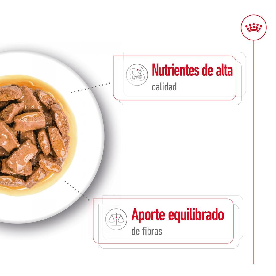 Royal Canin Maxi Adult Carne ao Molho para Cães