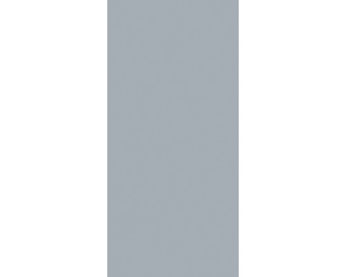 Douchewandpaneelset SCHULTE DecoDesign ExpressPlus effen lichtgrijs 210 x 90 cm EP1900911 679