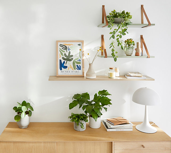 Tablette murale GoodHome Rigga vert L. 60 cm