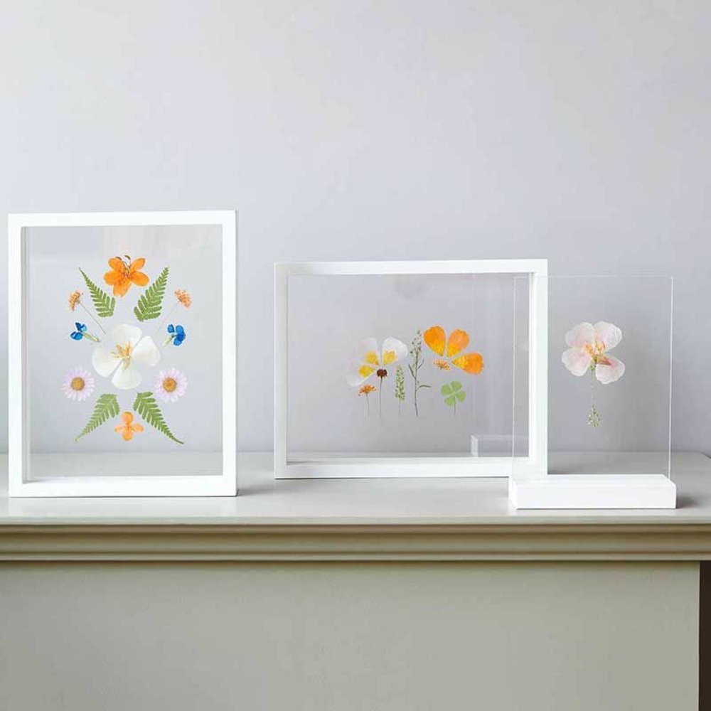 Fleurs séchées et pressées - violet et orange