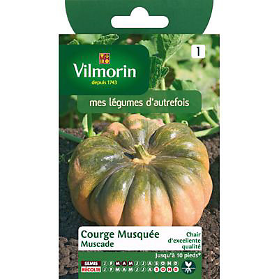 Graines de Courge Musquée d'Hiver de Provence