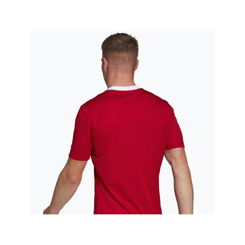 Tee-shirt sport Adidas Teamwear