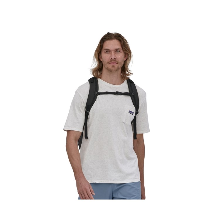 Patagonia Refugio Day Pack 30L