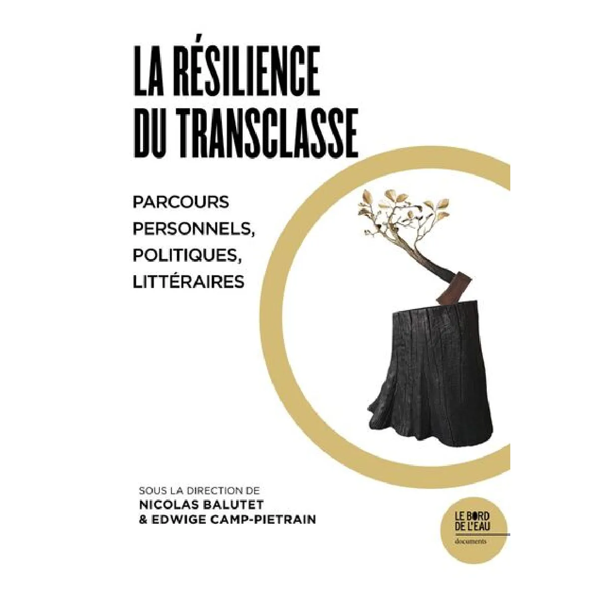 La résilience du transclasse : parcours personnels, politiques, littéraires · Occasion