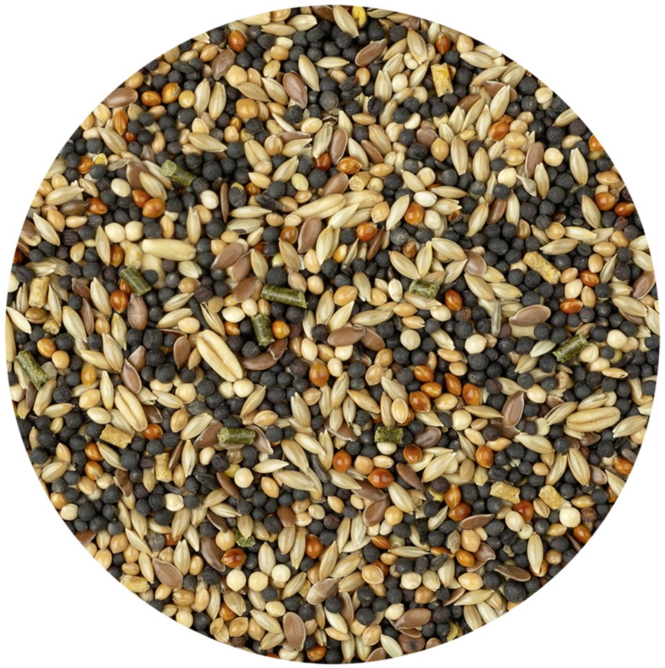 Vitakraft - BLAND 3 FOR 108 - Menu Perle® til kanariefugl 1kg