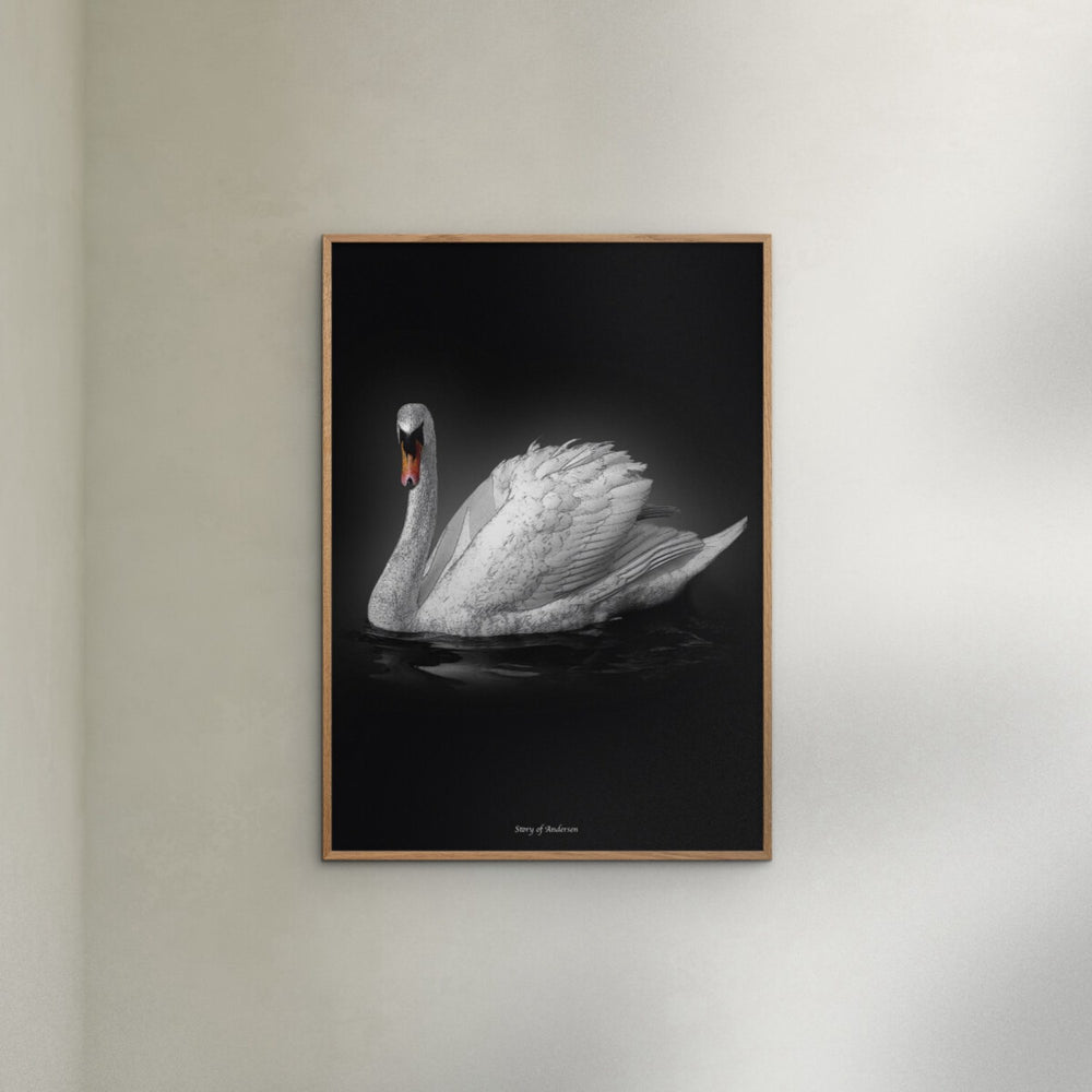 Køb Poster & Frame Story Of Andersen - Den Grimme Ælling - Hvid/Sort Baggrund