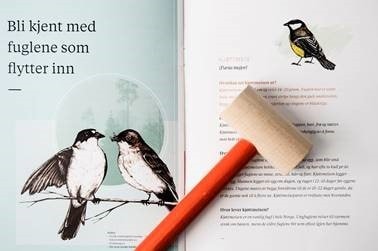 STØ Fuglekasse byggesett<br>Lærerik og hyggelig familieaktivitet!