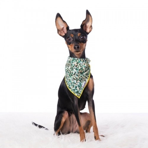 Bandana para cachorro com estampa camuflada verde