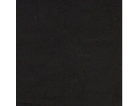 VIDAXL - Lit de jour avec gigogne et tiroirs noir 80x200 cm velours