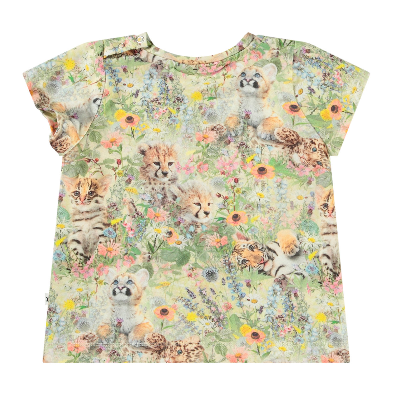 Elly - Meadow Cubs