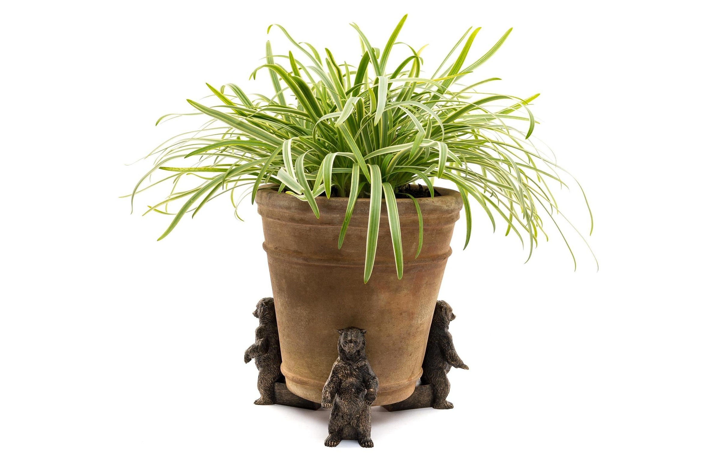Blumenständer »Potty Feet Grizzlybär«