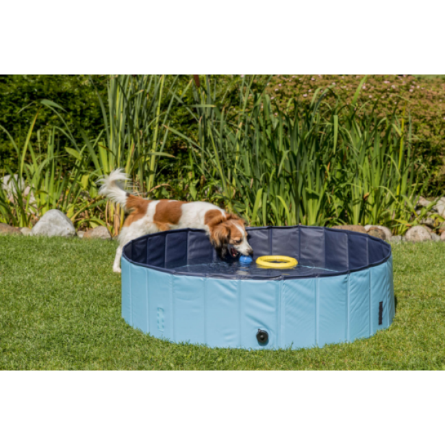 Piscine Trixie pour chien