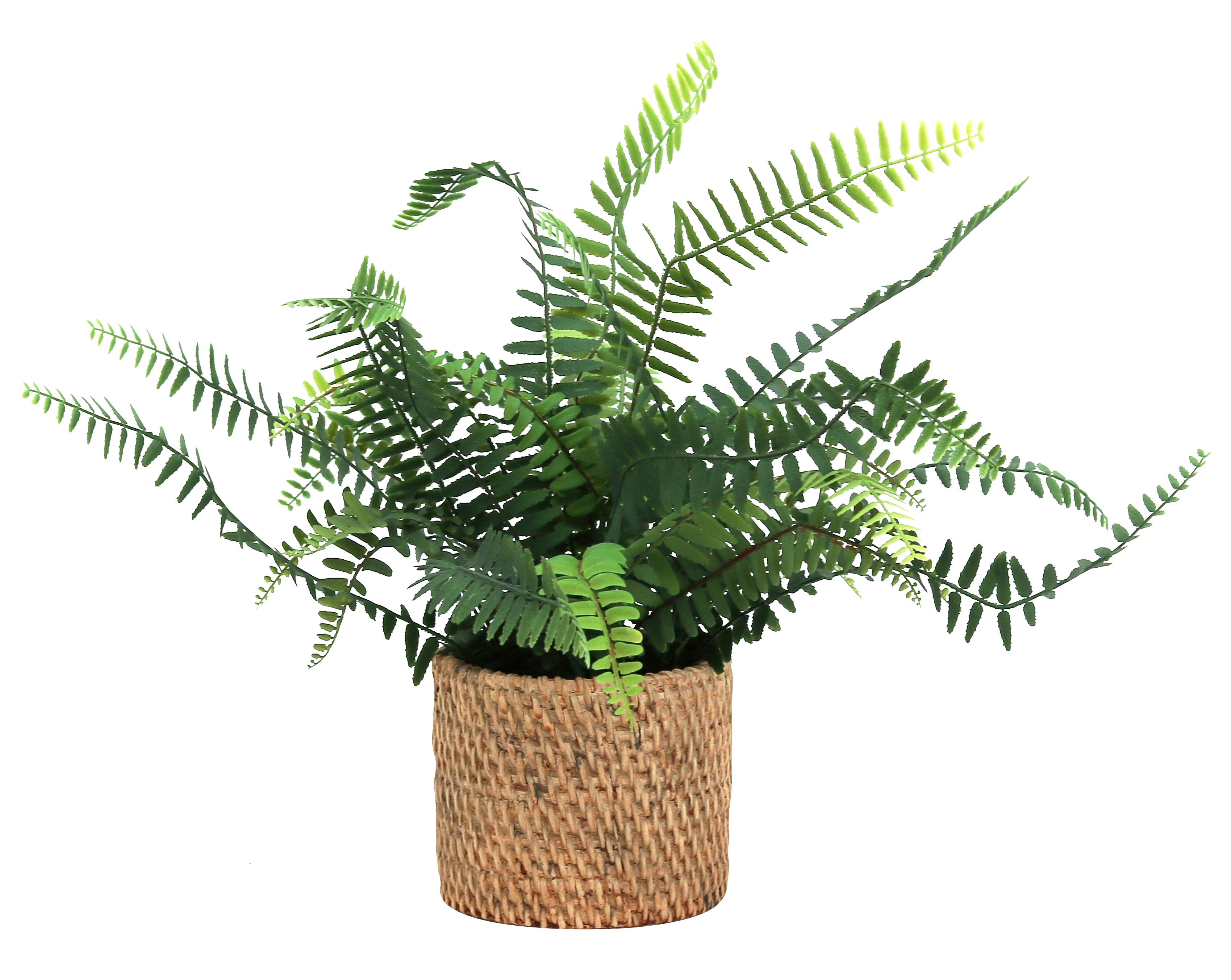 FOUGERE POT CIMENT EFFET CANNAGE H.40CM