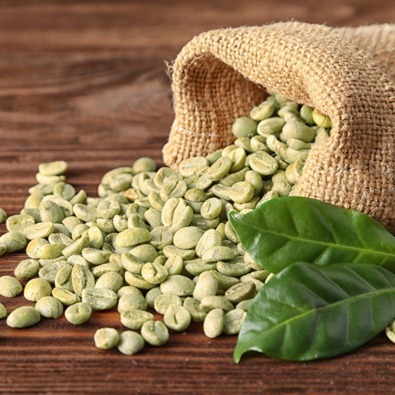 Matchatto Matcha Tee Grüner Kaffee & Moringa Bio