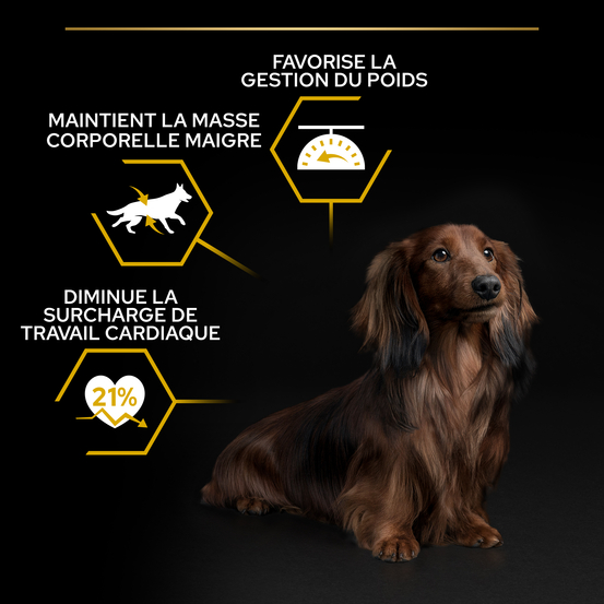 Croquettes chien adulte stérilisé de petite taille au poulet - 3 kg