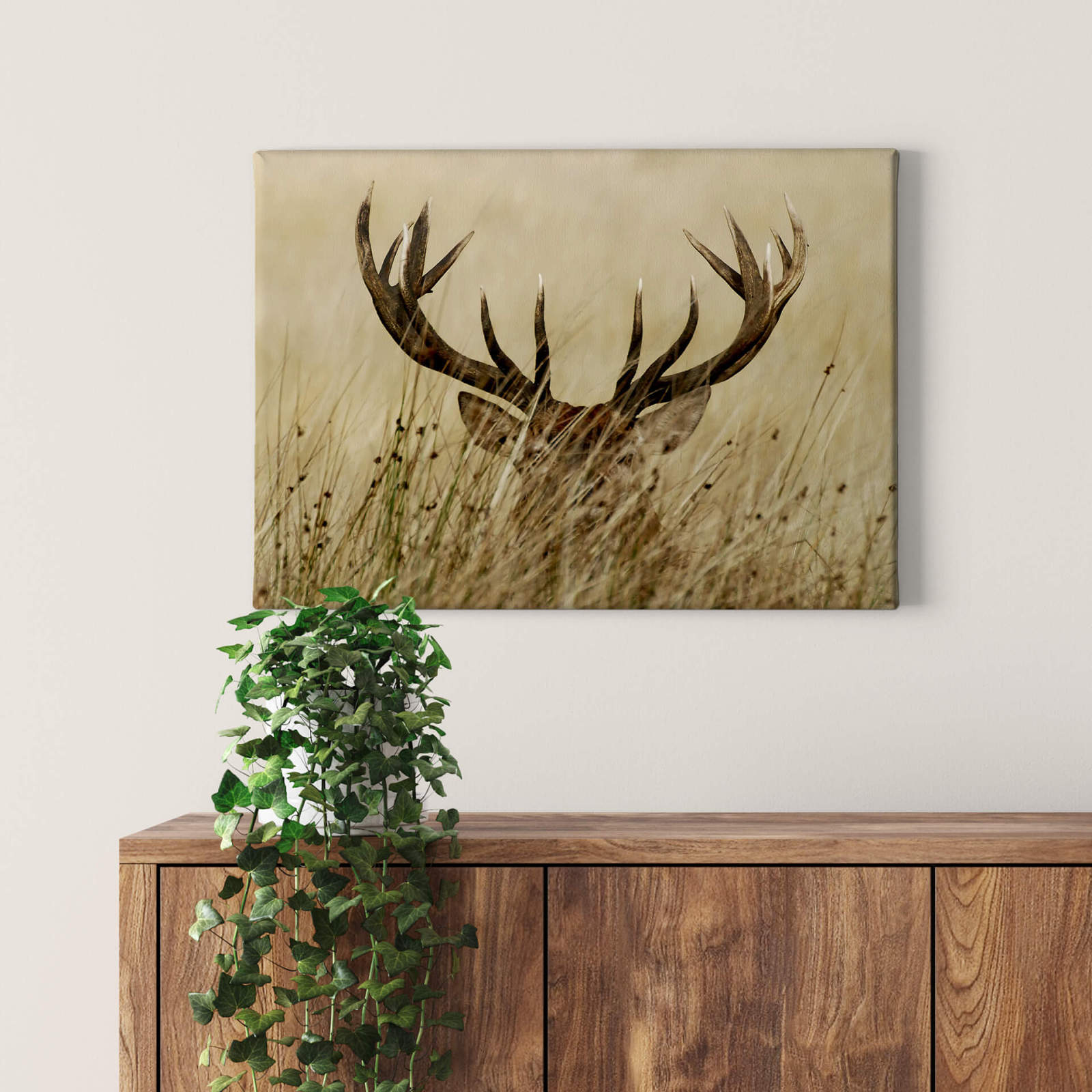 Leinwandbild HIRSCH - braun-beige - 70x50 cm